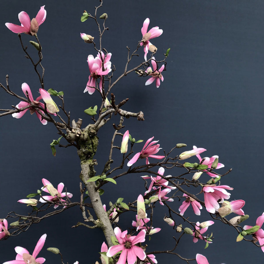 Magnolia kunstboom