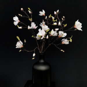 magnoliatakken