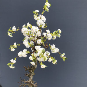 kunst bloesemboom wit 120cm