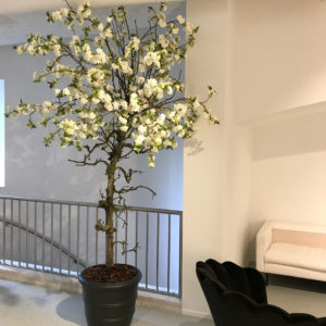 kunst bloesemboom woonkamer