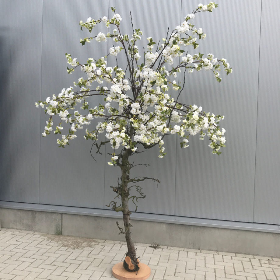 Witte nep bloesemboom