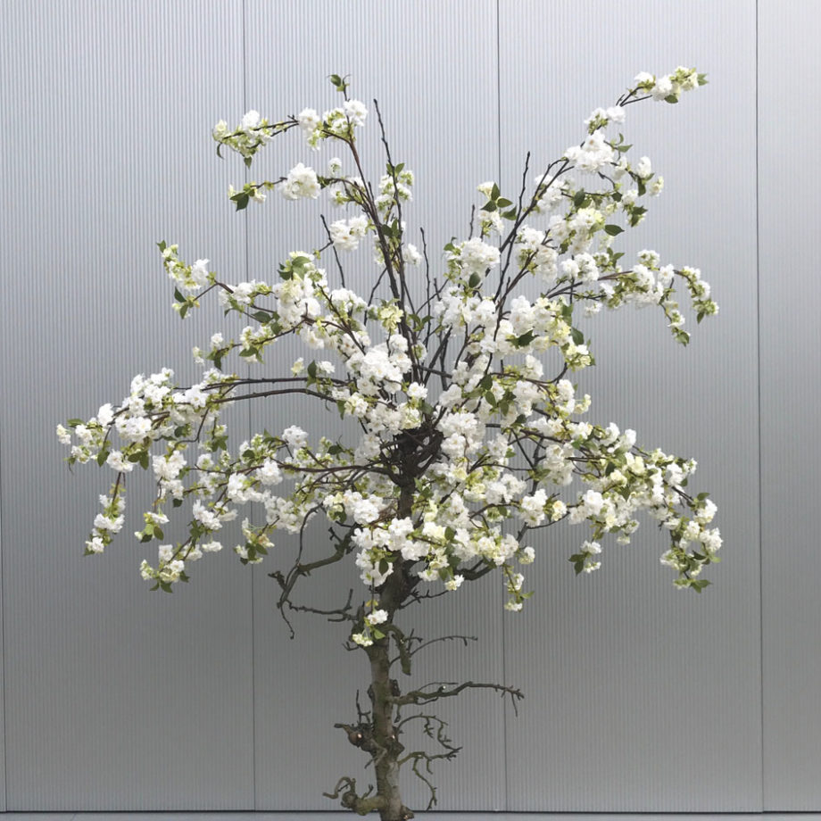 Witte kunst bloesemboom