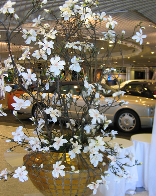 kunst magnolia