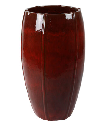 Ossenbloed rood hoge plantenpot