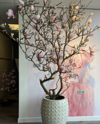 Magnolia kunstboom