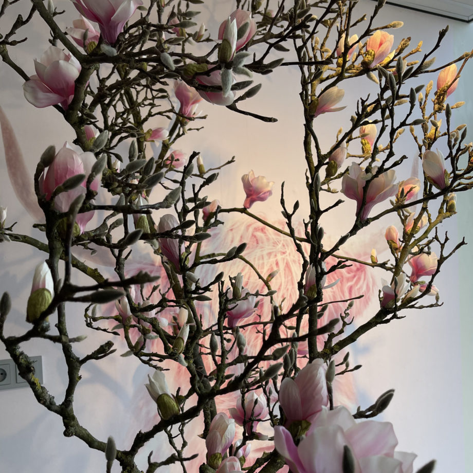 Magnolia kunstboom