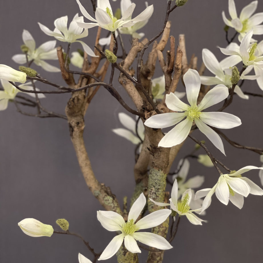 Magnolia kunstboom