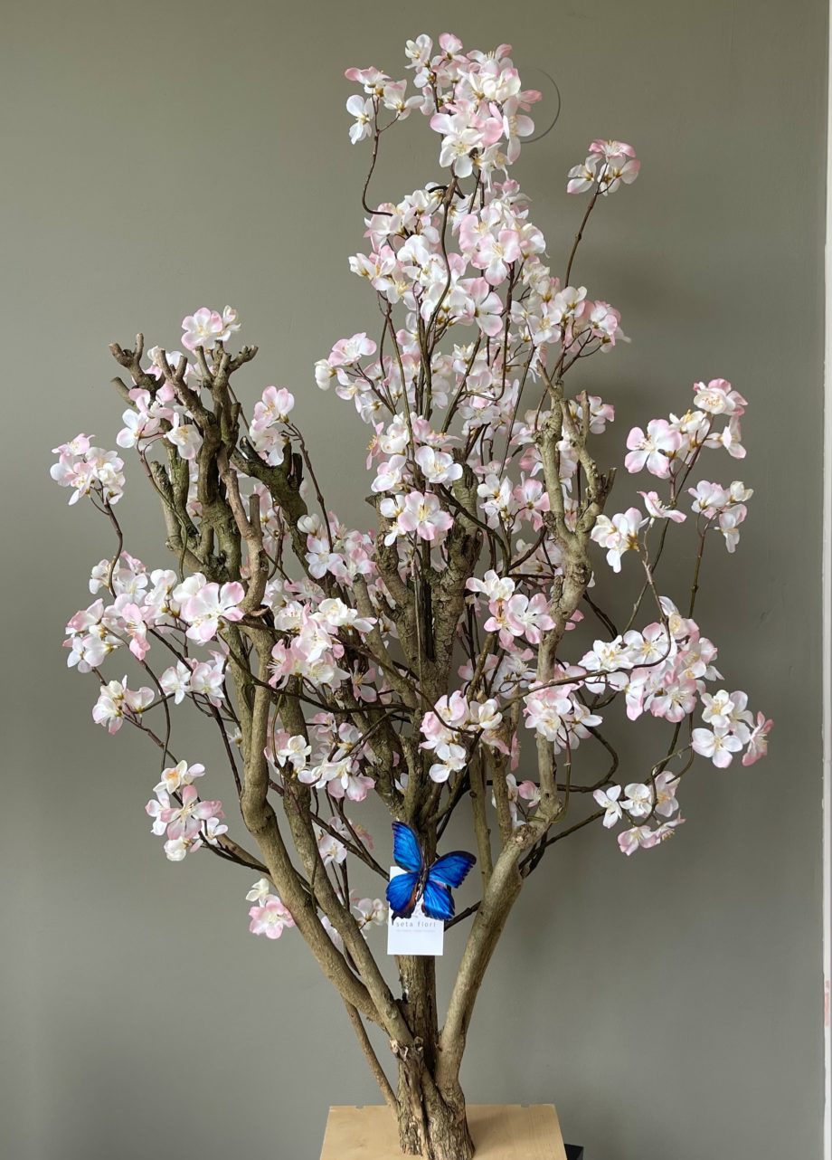Kersenbloesem boom licht roze- 110cm