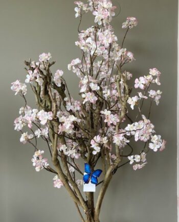 Kersenbloesem boom licht roze- 110cm