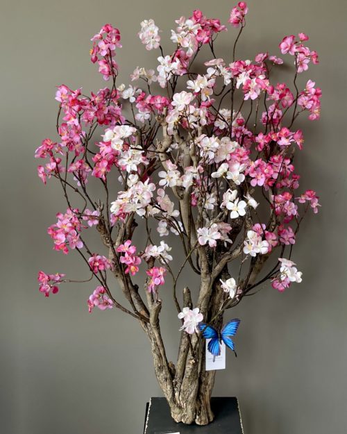 Bloesemboom roze