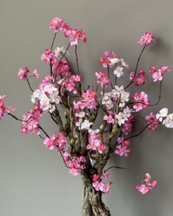 Kersenbloesem roze en wit