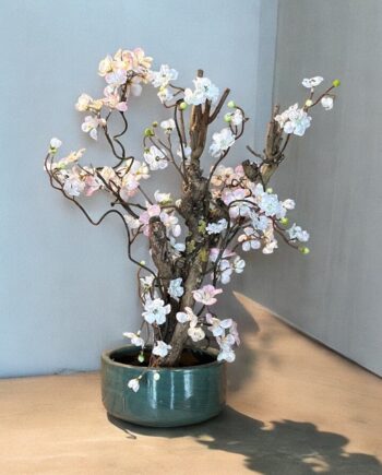 Kersenbloesem boom - Bonsai - roze / wit - 55cm