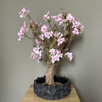Bonsai boompje roze