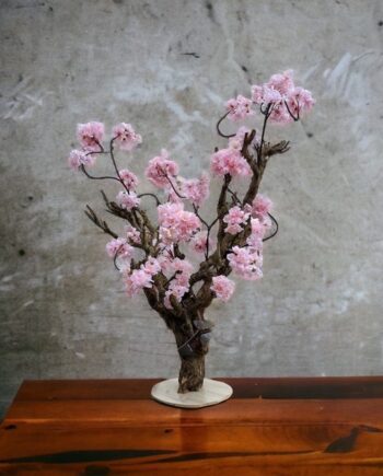 Kersenbloesem boom - roze bloesemboom - Sakura - vertakt - 75cm -