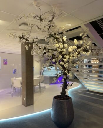 Kunst bloesemboom - platter aan achterkant -