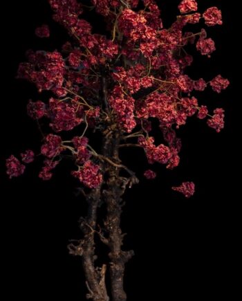 Donker rood bordeaux -  kunst bloesemboom - 240cm