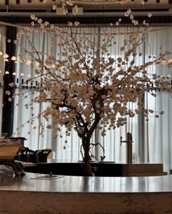 Bloesem - Grote hoge royale kunst bloesemboom - 300cm - Rituals