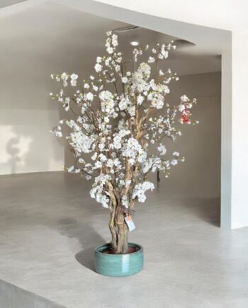 Cherry blossom - Rituals blossom - 150cm - wit - *AANBIEDING*