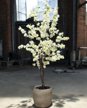Kunst Bloesemboom - Kunstboom - 175cm - crème wit - Allergie vrij - geheel kunst stof